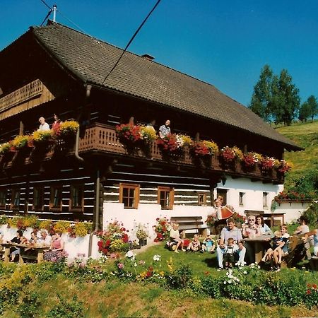 Bauernhof Oberfriessnig Villa Radenthein Luaran gambar